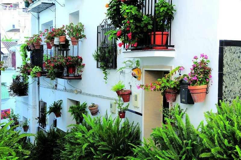 Casa Tita Laura Villa Algarrobo Ngoại thất bức ảnh